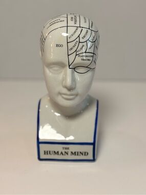 🧠 Vintage Accoutrements Human Mind Ceramic Bust – 1999 Phrenology Psychology